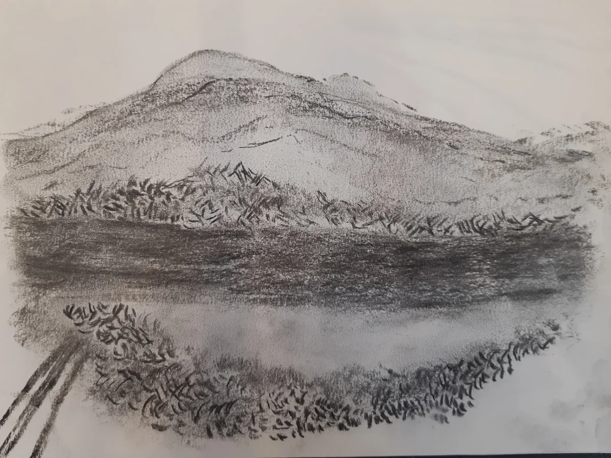 Nature & landscapes, EM-039 — Charcoal and acrylic on paper