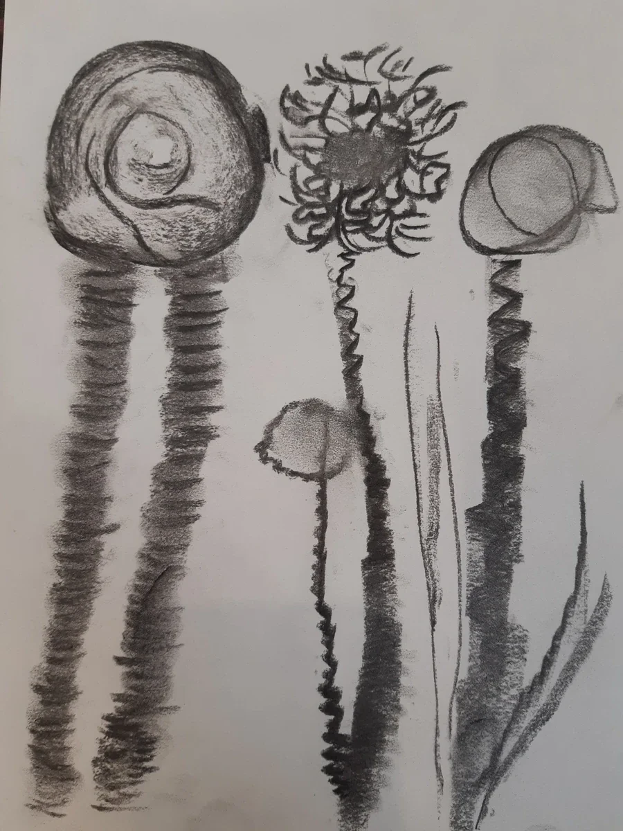 Nature & landscapes, EM-040 — Charcoal and acrylic on paper